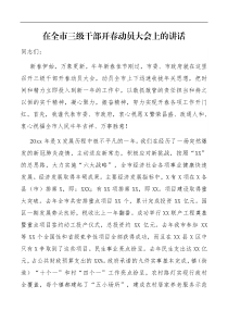 领导讲话在全市三级干部开春动员大会上的讲话
