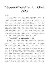 领导讲话在县生态环境保护督察问题整改回头看工作会上的讲话范文