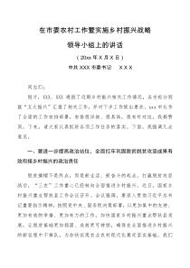 领导讲话在市委乡村振兴领导小组会议上的讲话