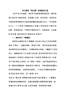 先进性教育活动“回头看”自查工作要点（精选6例）