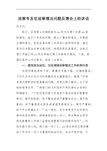 领导讲话巡察反馈讲话巡察专员在巡察情况问题反馈会上的讲话范文