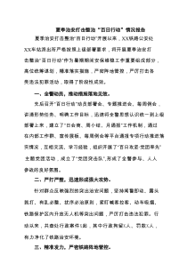 夏季治安打击整治“百日行动”情况报告精选（三篇）