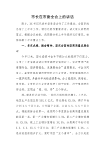 领导讲话市长在市委全会上的讲话