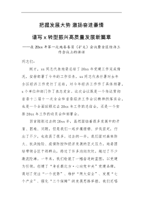 领导讲话经济工作会议讲话20XX年全区经济工作会议上的讲话范文