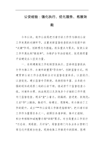 公安经验强化执行优化服务拓展效能