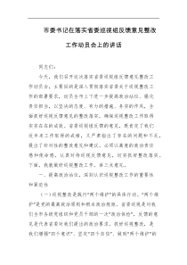 市委书记在落实省委巡视组反馈意见整改工作动员会上的讲话