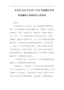市长在2025年全市十五五市级重点专项规划编制工作座谈会上的讲话