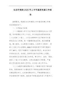 生态环境局2025年上半年基层党建工作报告