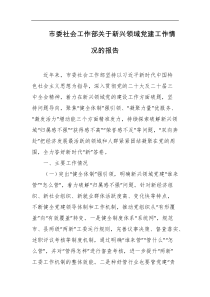 市委社会工作部关于新兴领域党建工作情况的报告