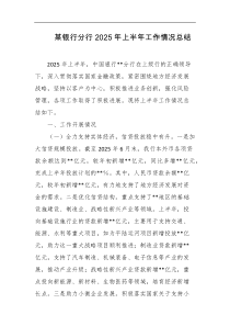 某银行分行2025年上半年工作情况总结