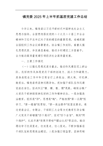镇党委2025年上半年抓基层党建工作总结