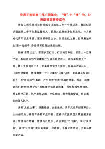 2025年党员干部巡察工作心得体会：“青”力“清”为，让清廉擦亮青春底色