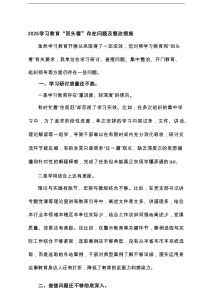 2025年学习教育“回头看”存在问题及整改措施+领导班子专题“回头看”自查情况报告
