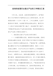 县局党组落实全面从严治党工作情况汇报