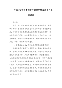 在2025年市委巡查反馈意见整改动员会上的讲话
