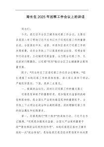 局长在2025年巡察工作会议上的讲话