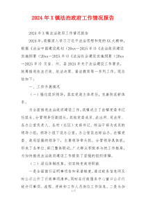 2024年X镇法治政府工作情况报告