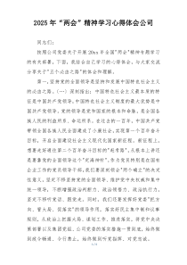 2025年“两会”精神学习心得体会公司