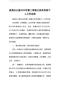 县局办公室2025年第二季度公务员考核个人工作总结
