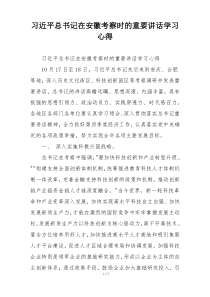 习近平总书记在安徽考察时的重要讲话学习心得