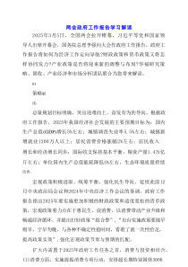 2025两会政府工作报告学习解读