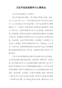 习近平法治思想学习心得体会