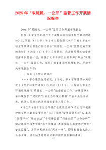 2025年“双随机、一公开”监管工作开展情况报告