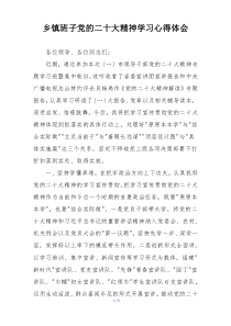 乡镇班子党的二十大精神学习心得体会
