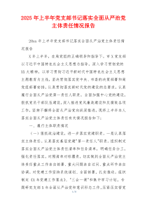 2025年上半年党支部书记落实全面从严治党主体责任情况报告