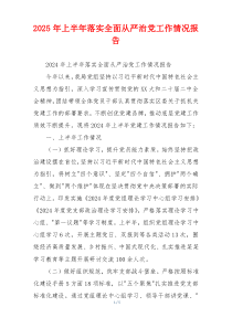 2025年上半年落实全面从严治党工作情况报告