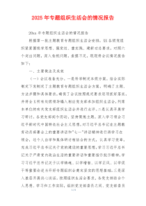 2025年专题组织生活会的情况报告