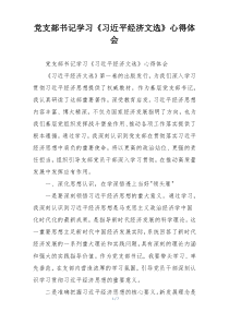 党支部书记学习《习近平经济文选》心得体会