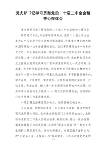 党支部书记学习贯彻党的二十届三中全会精神心得体会