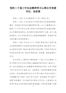 党的二十届三中全会精神学习心得公司党委书记、总经理