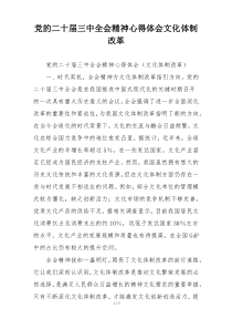 党的二十届三中全会精神心得体会文化体制改革