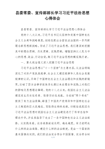 县委常委、宣传部部长学习习近平法治思想心得体会