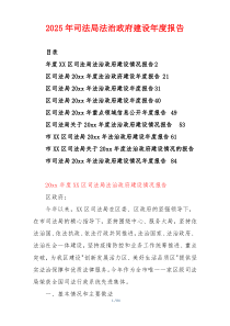2025年司法局法治政府建设年度报告
