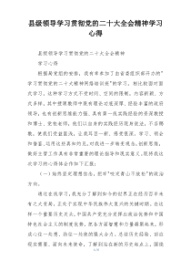 县级领导学习贯彻党的二十大全会精神学习心得