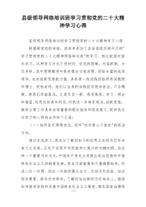 县级领导网络培训班学习贯彻党的二十大精神学习心得