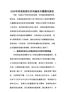 2025年局党组深化作风建设专题情况报告
