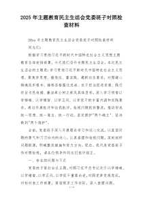 2025年主题教育民主生活会党委班子对照检查材料