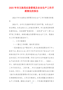 2025年市文旅局应急管理及安全生产工作开展情况的报告