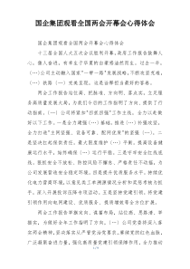 国企集团观看全国两会开幕会心得体会