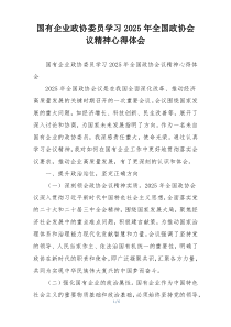 国有企业政协委员学习2025年全国政协会议精神心得体会