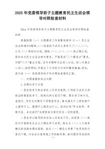 2025年党委领导班子主题教育民主生活会领导对照检查材料