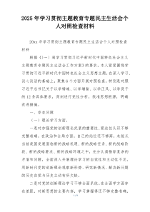 2025年学习贯彻主题教育专题民主生活会个人对照检查材料