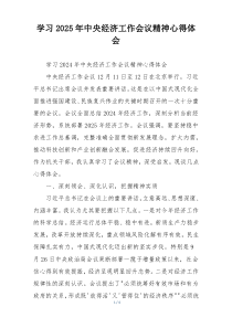 学习2025年中央经济工作会议精神心得体会