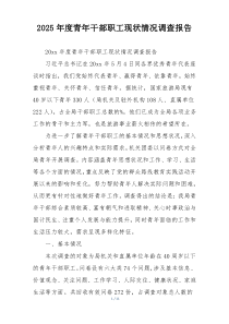 2025年度青年干部职工现状情况调查报告