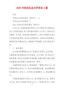 2025年政治生态分析报告2篇