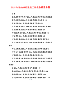2025年法治政府建设工作报告精选多篇